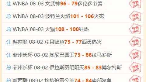 法国足球界痛失良将，勒梅尔赴突尼斯重塑辉煌：自信寻回之旅
